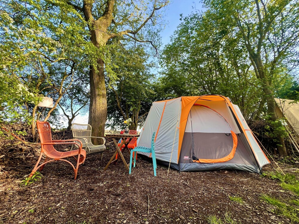 Camping De Helleborus