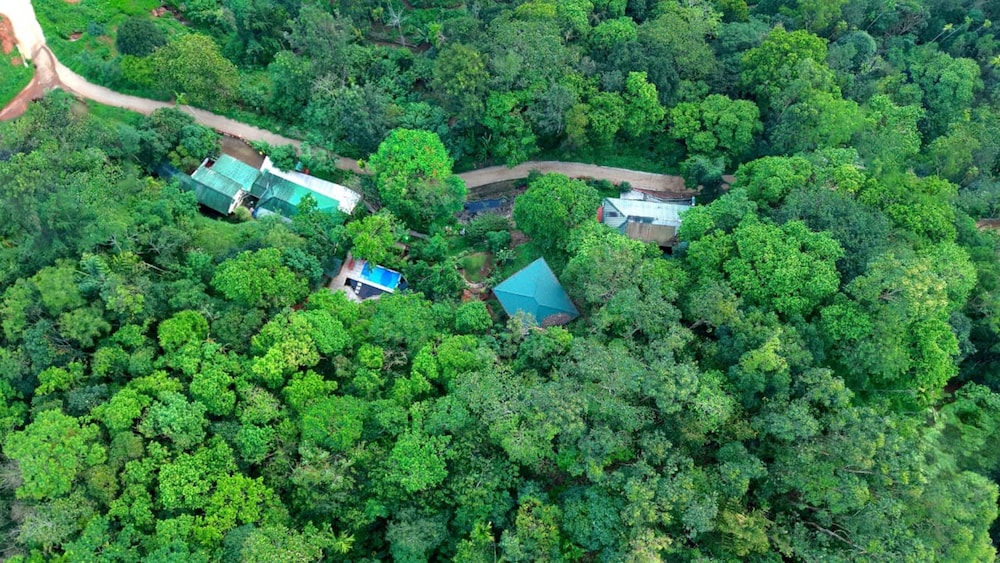 Lux Valley Munnar