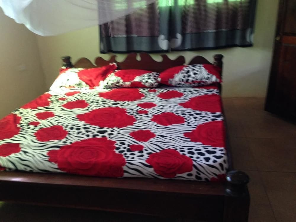 Makunduchi White House Apartment view 2