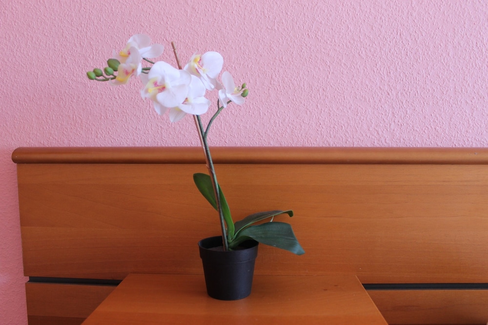 Photo 59