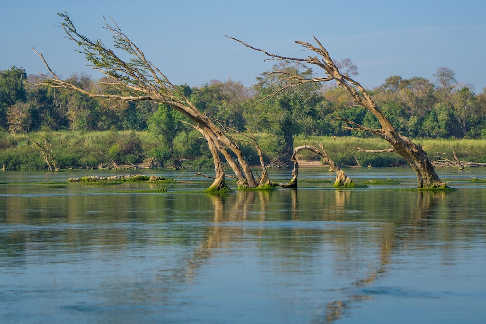 Mekong Bird Resort