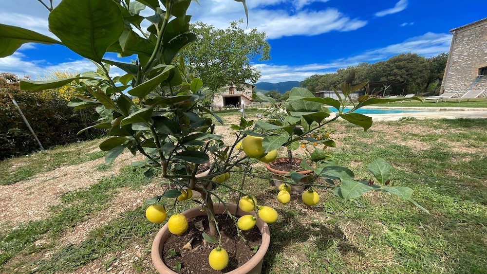 Beautiful Exclusive Pool Villa - Close to Spoleto bar Shops, Restaurants - Property Image 29