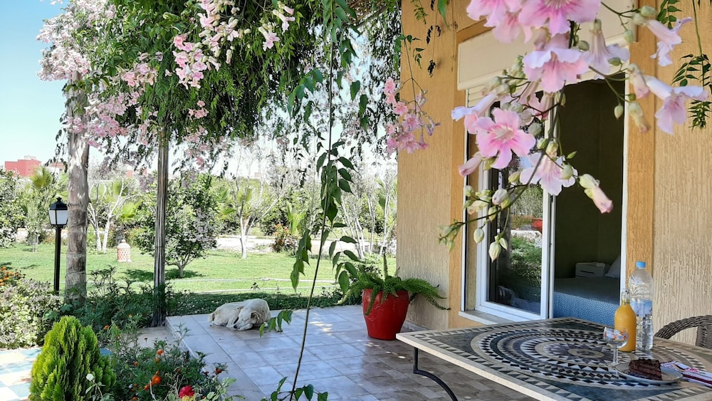 Dar Beynana