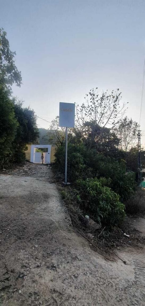 Photo 32
