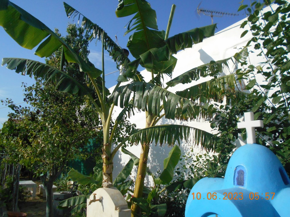 Photo 44