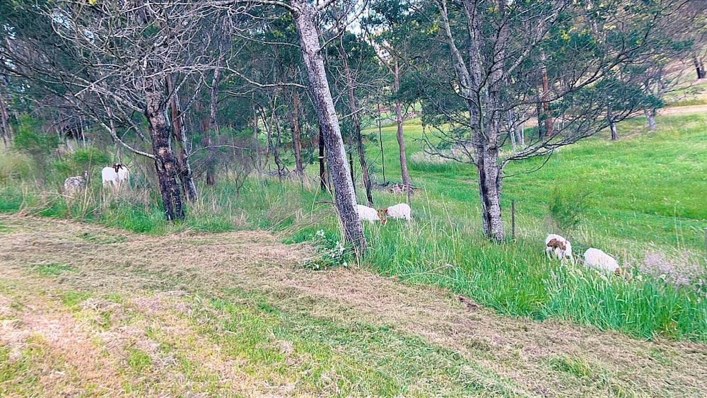 The Hidden Paradise in the Valley Farmhouse