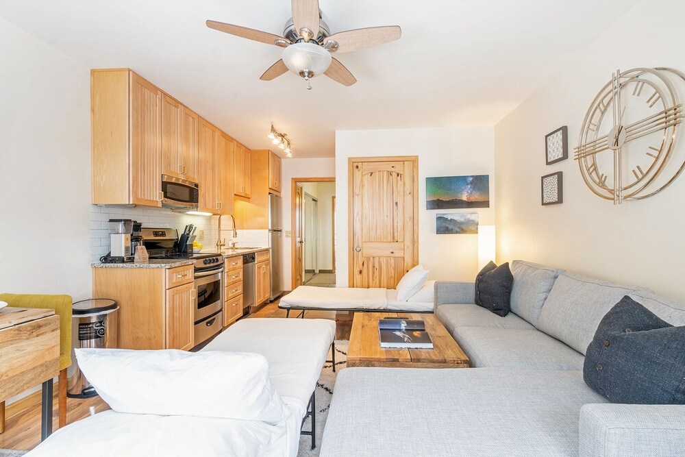 Telluride Ski Resort CO - Viking Lodge Condos