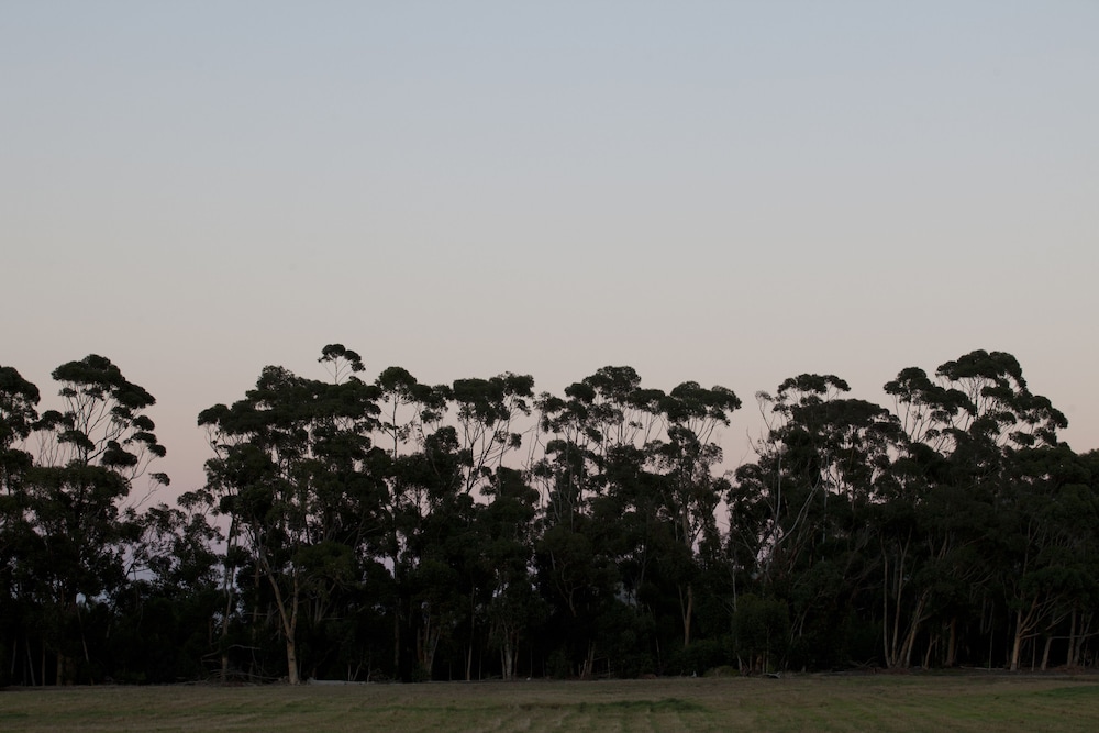 Blue Gum Country Estate