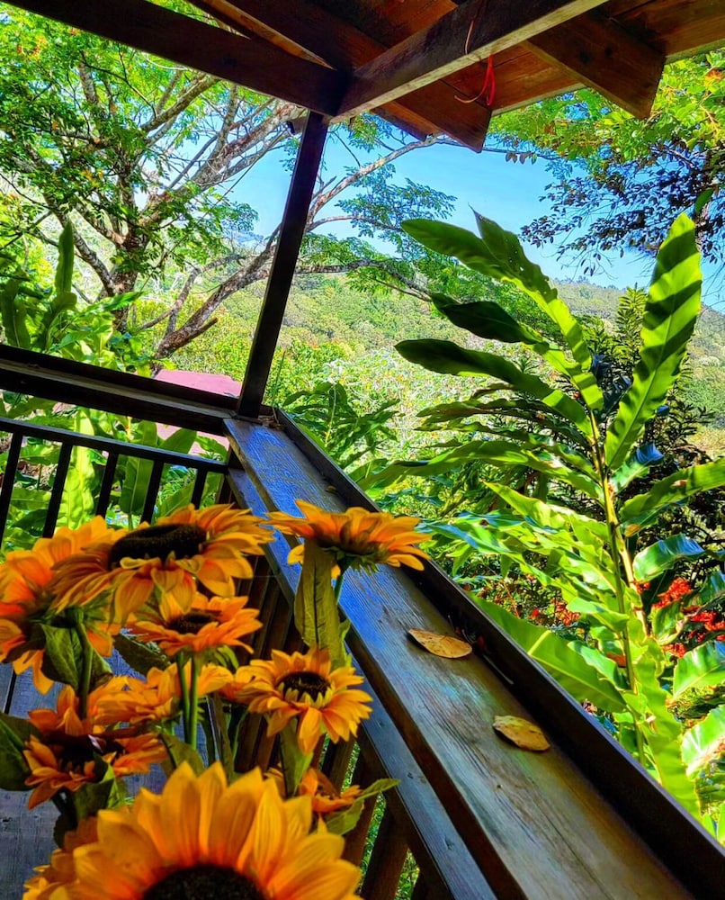 Rancho Fernandez