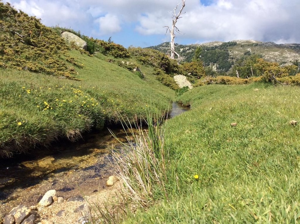 other