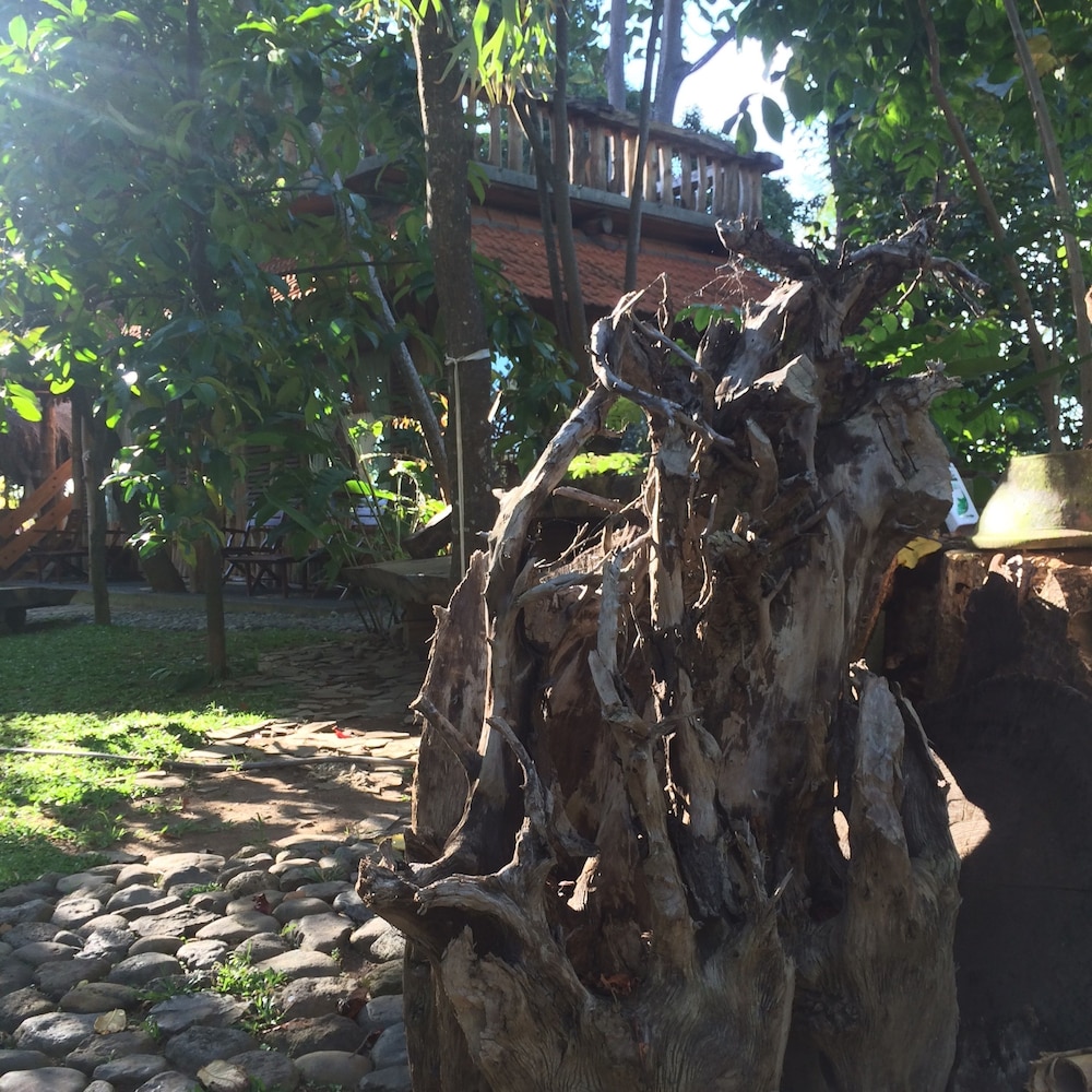 Omunity Bali