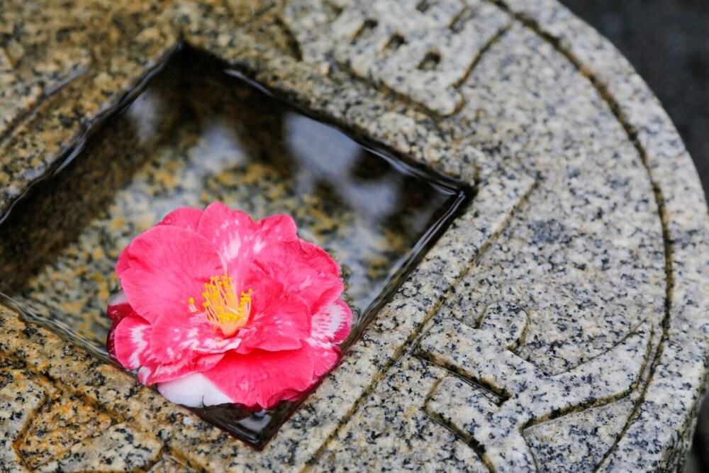 Tsubakino Ryokan