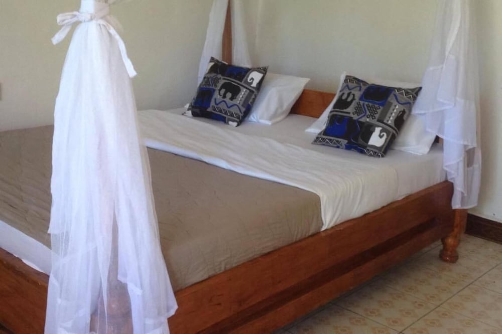African wagtail hostel view 4