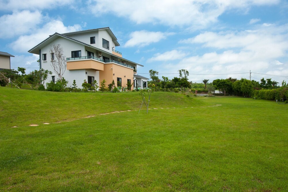 The Tree Bed and Breakfast