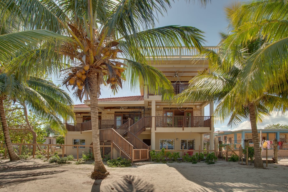 Buttonwood Belize