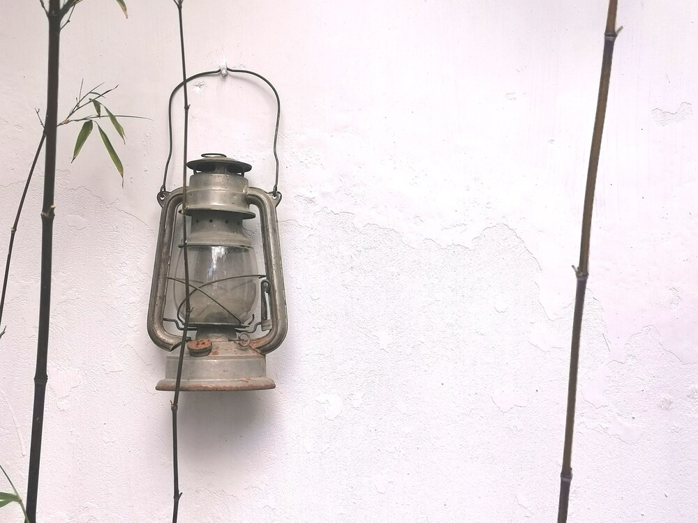 Dali Yo Yard