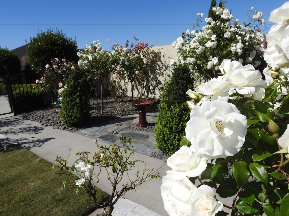 Grasslands Bed & Breakfast, photo 15