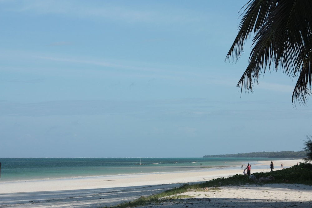 Galu Tulivu