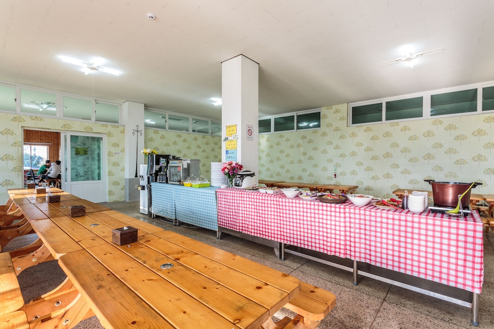 Olleh Windmill Pension & Guesthouse - Hostel