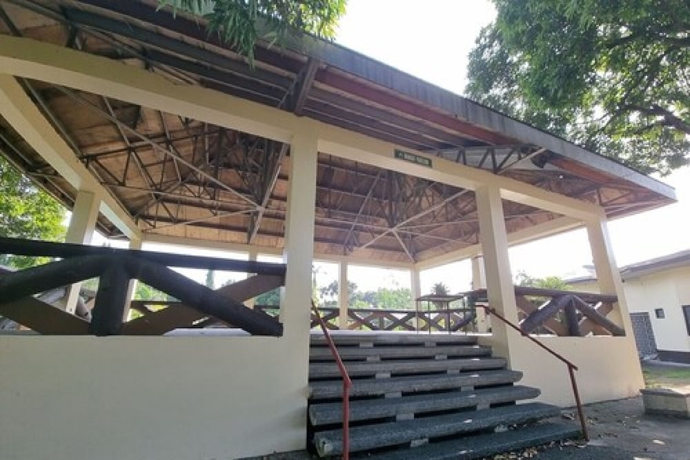 Photo 11