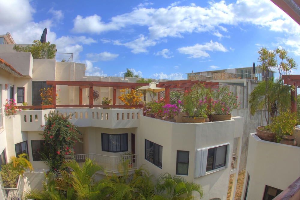 Royal Palms by Bric