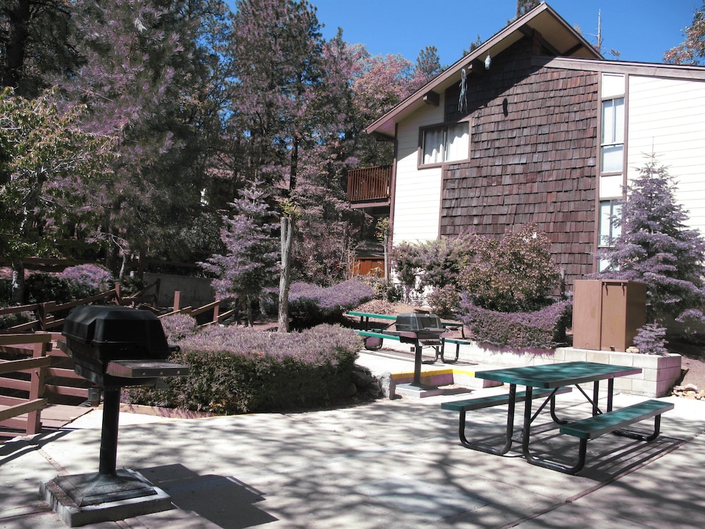 Snow Summit Townhouse Rentals & Sales