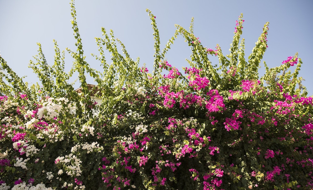 Hotel Karia Princess - Image 13