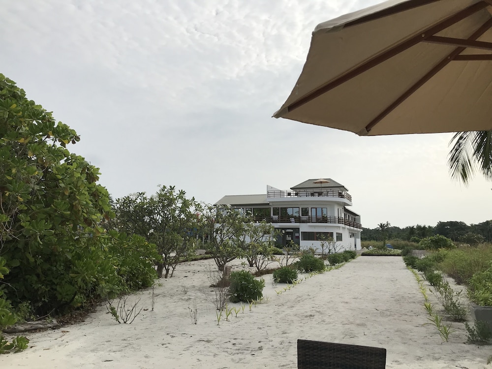 Olive Goidhoo