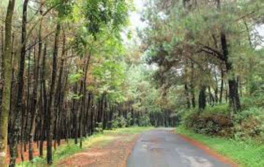 Pondok Lariska - Property Image 2