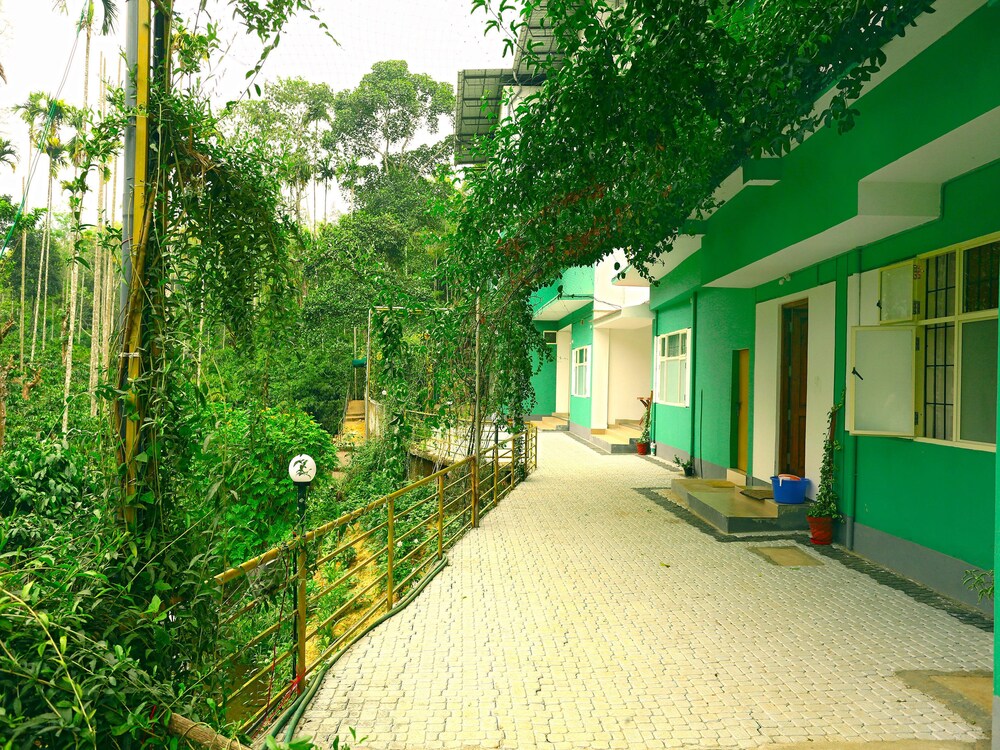 OYO 11516 Wayanad Royal Stream