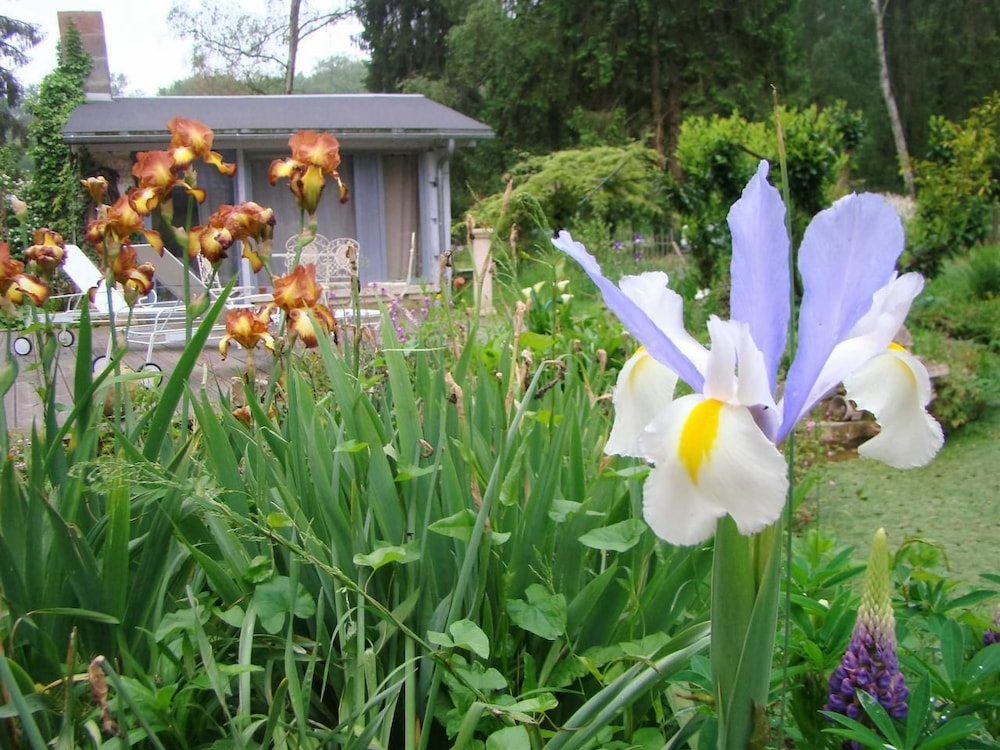 Le jardin de Saint Jean