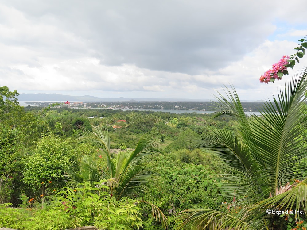 Bohol Vantage Resort