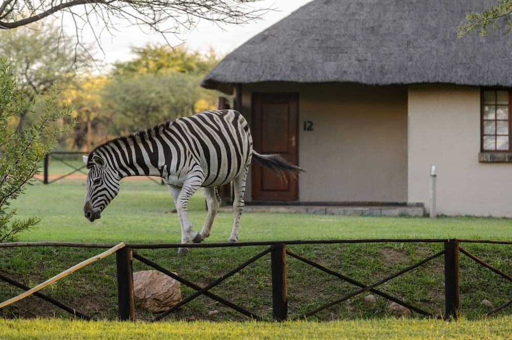 Mongena Game Lodge