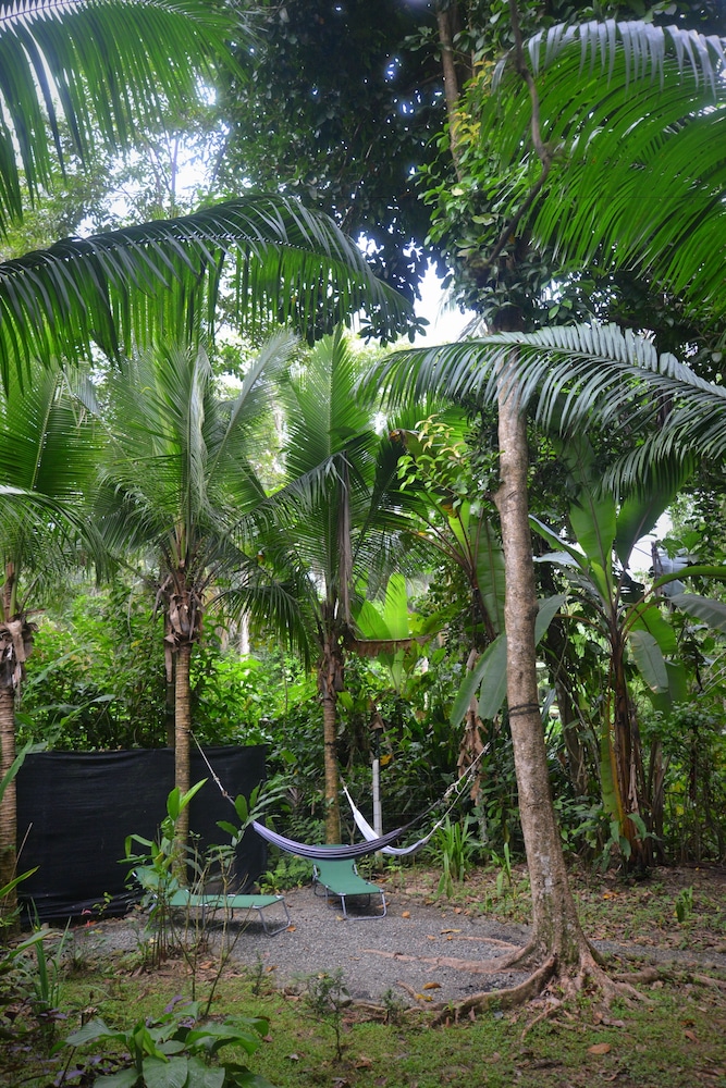 Pachamama Jungle River Lodge