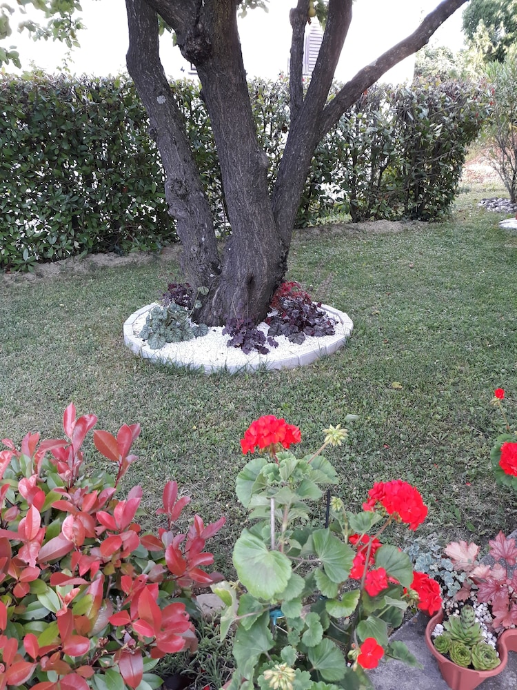 Photo 29
