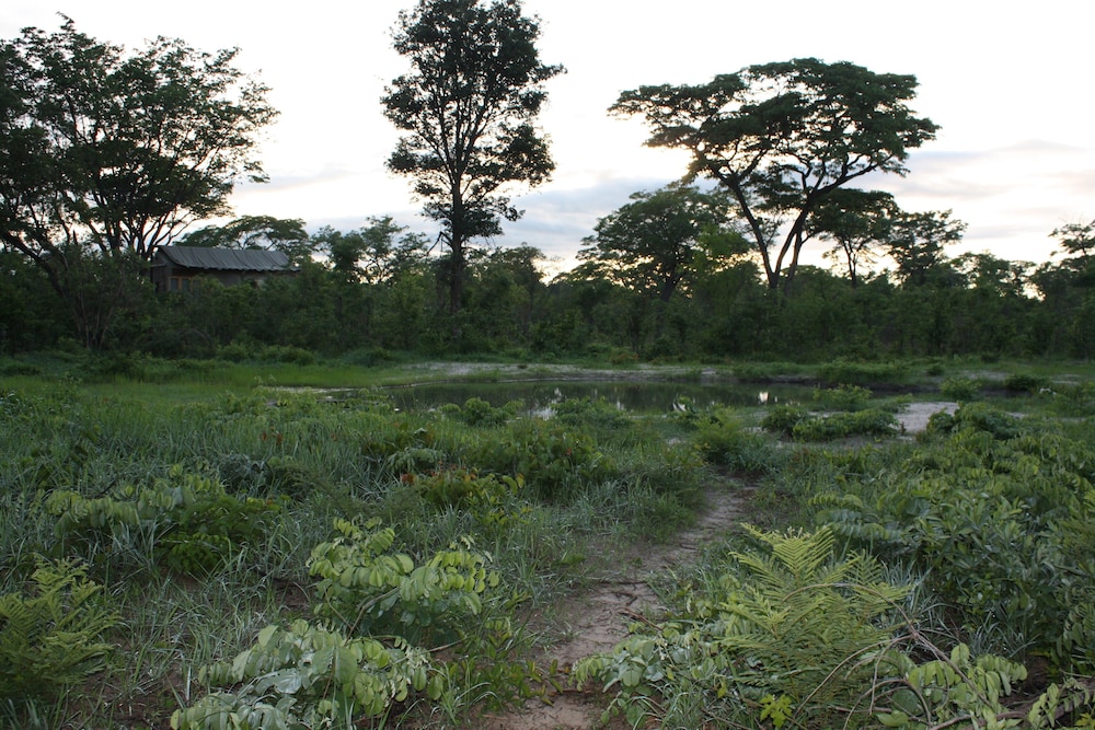 Miombo Safari Camp view 5