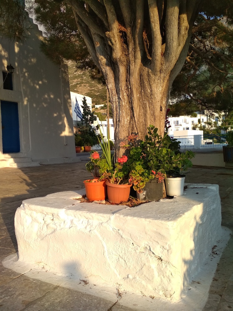 Photo 41