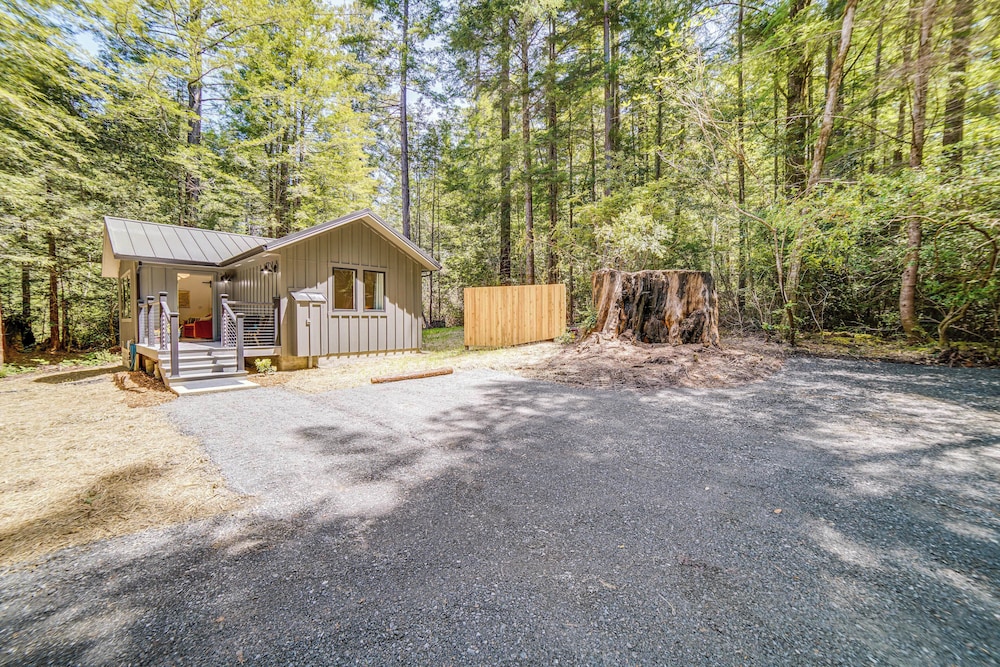 Peaceful Mendocino Cottage Surrounded By Redwoods view 5