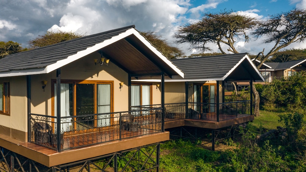 Ngorongoro Lions Paw view 3