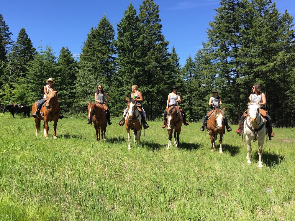 YD Guest Ranch