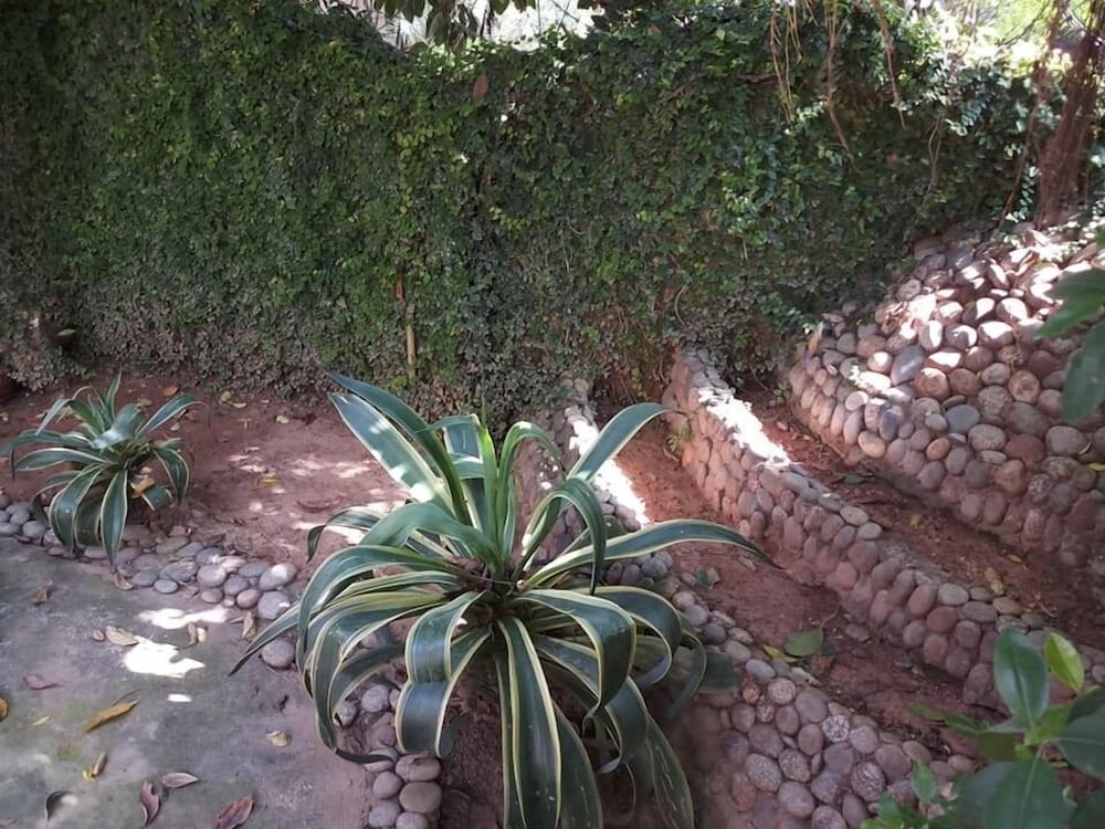 Photo 13