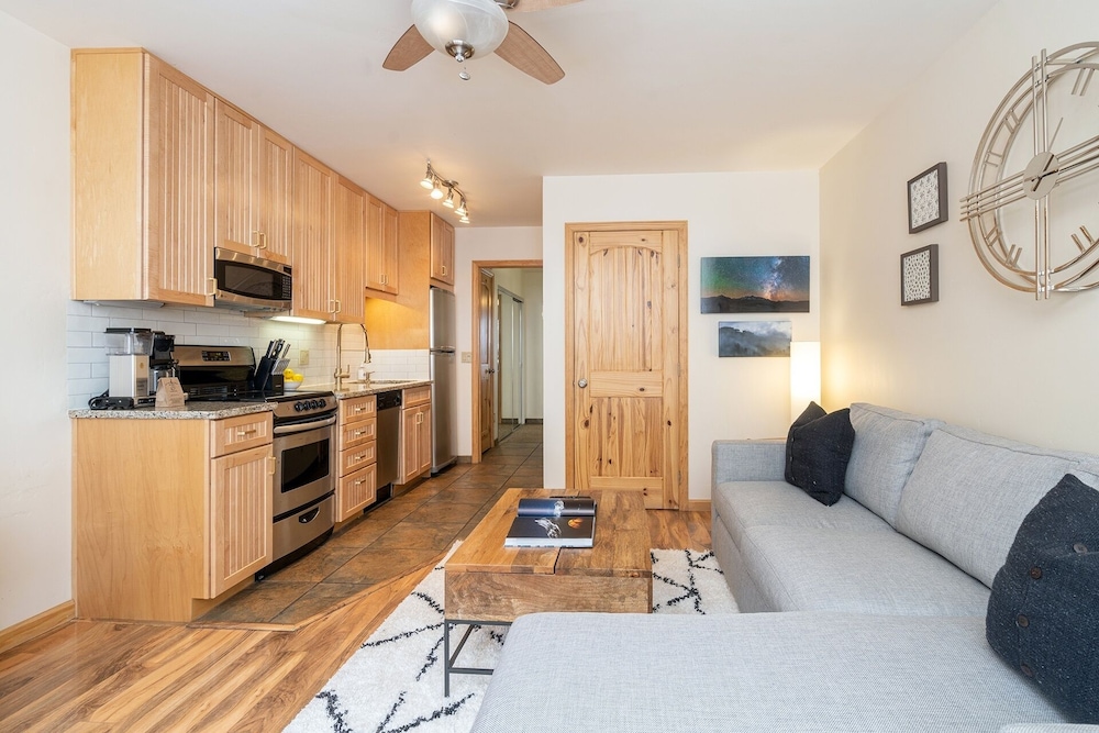 Telluride Ski Resort CO - Viking Lodge Condos