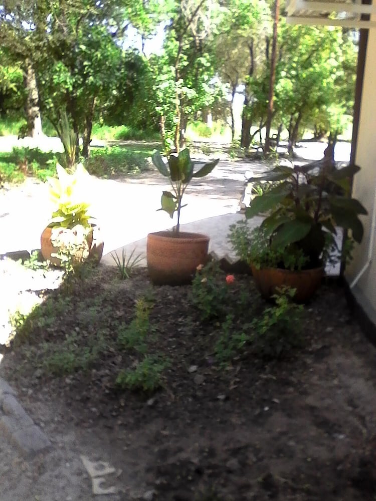 Chief's Guest House