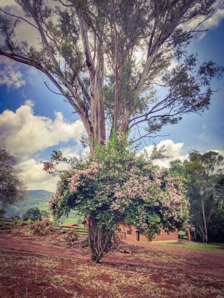 Hotel Fazenda Vale Formoso