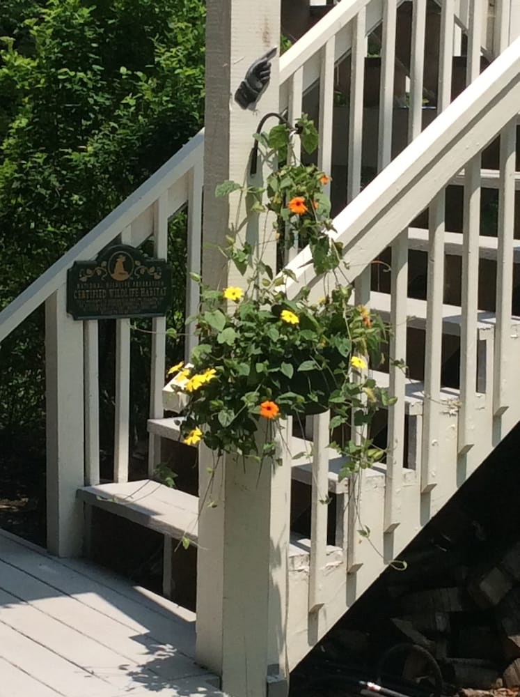 Bald Mountain House Inn at the Wolf Laurel Resort