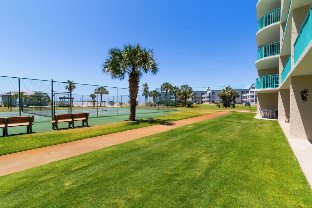 Plantation Palms 6103
