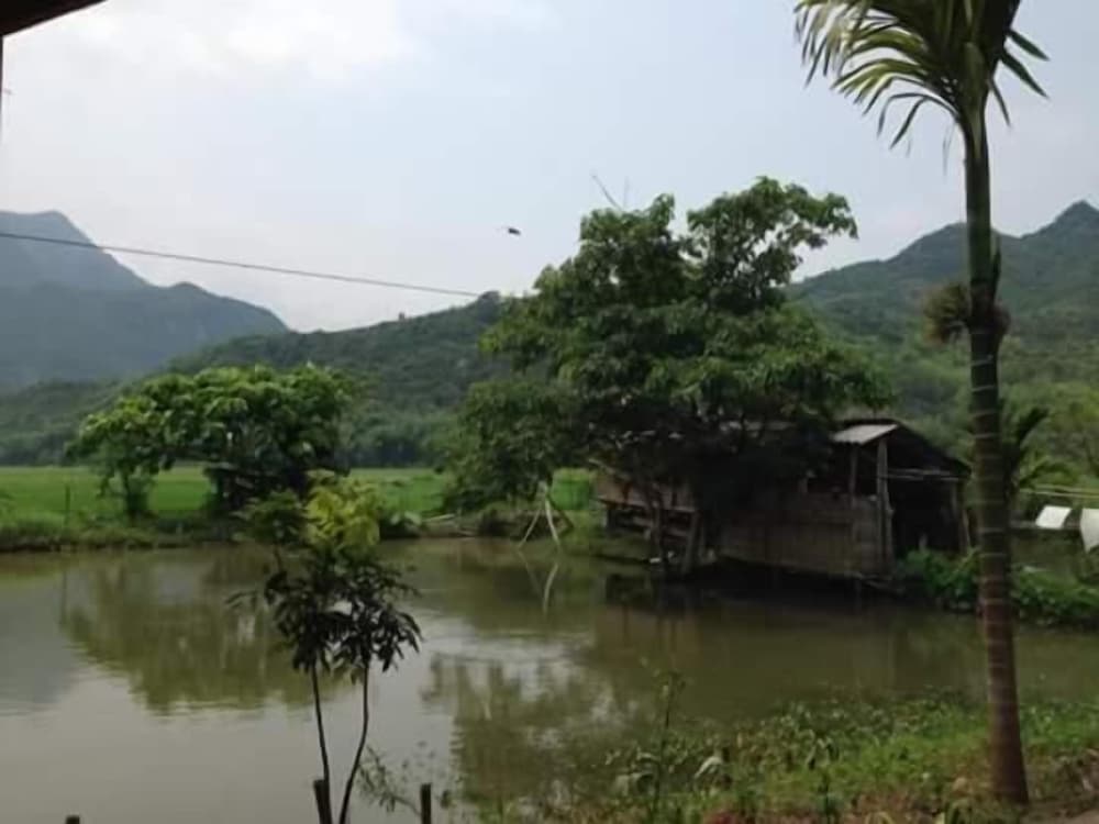 Linh Soi Homestay - Hostel