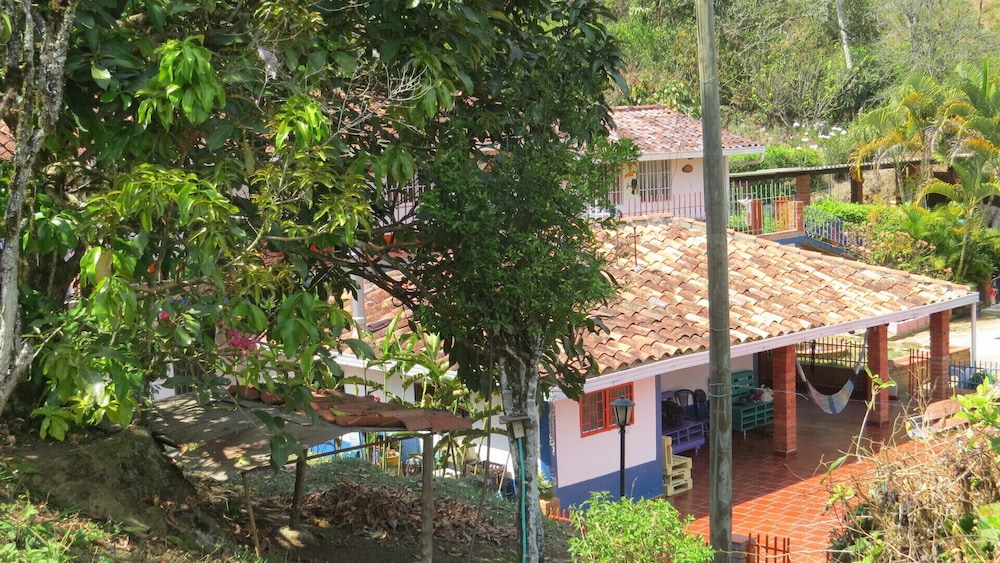 Photo 13
