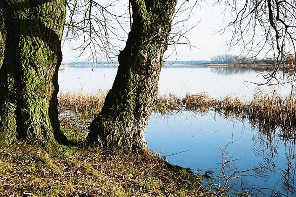 Ferienwohnung, Beetzseeheide