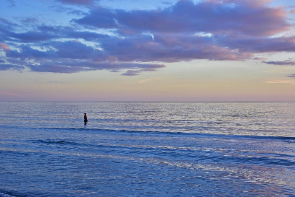 Anna Maria Island Beach Palms 7A